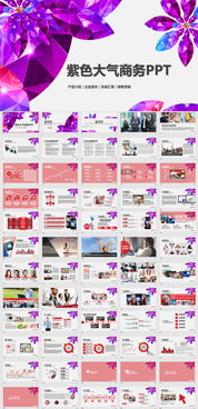 專業(yè)營(yíng)銷與高效匯報(bào) 產(chǎn)品介紹與工作總結(jié)PPT模板